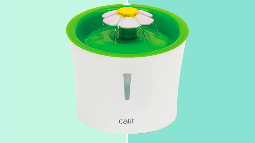 A Catit water fountain with a green lid and white base