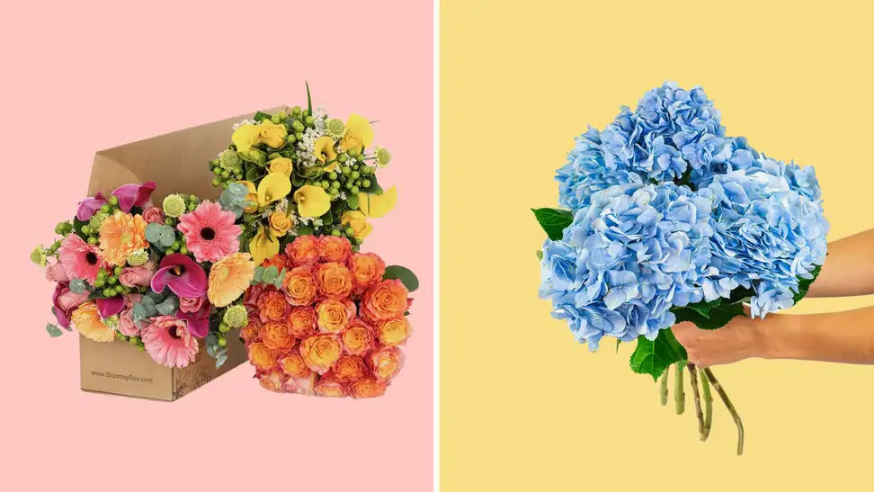 A variety of flowers on a pink and yellow background.