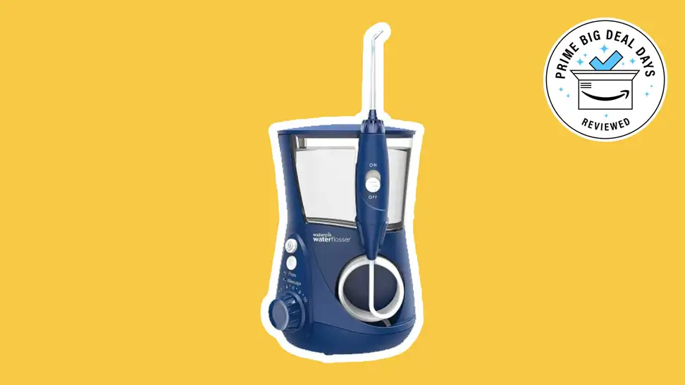 Waterpik Aquarius Water Flosser