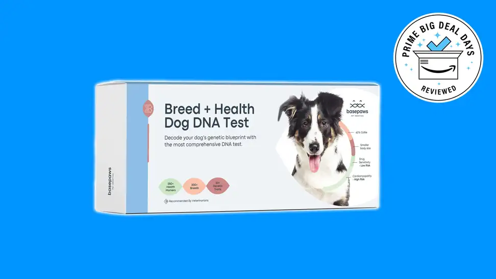 Basepaws dog DNA kits: Save on DNA testing for your dog on Amazon Prime Day