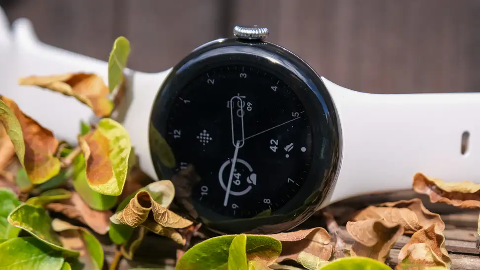 The Google Pixel Watch 2, with a white band and black face, sits in a pile of leaves.