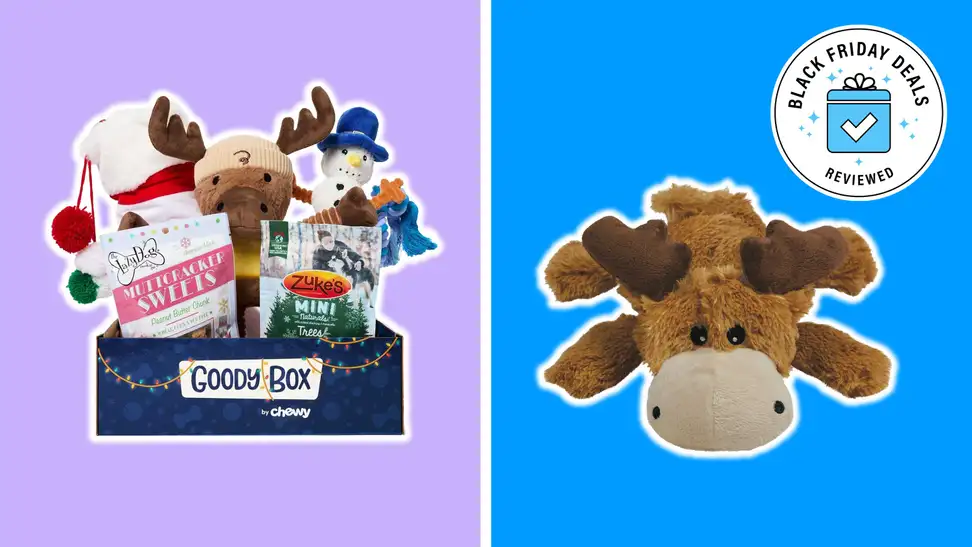 Chewy Black Friday sale Save up to 50 on dog treats, cat toys, pet — free download