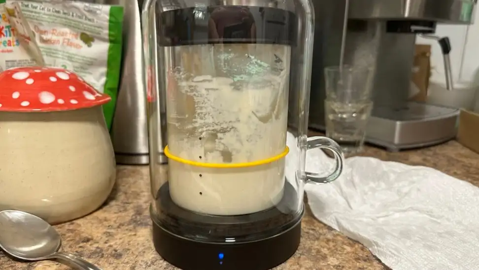 A Goldie sourdough warmer with a jar inside sitting on a kitchen counter.