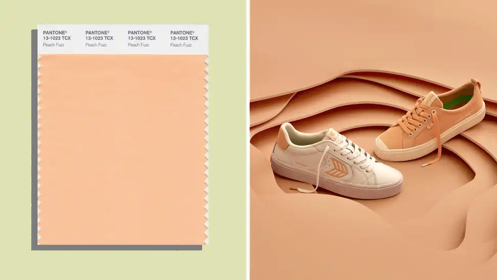 2024 Pantone Color of the Year: Peach Fuzz