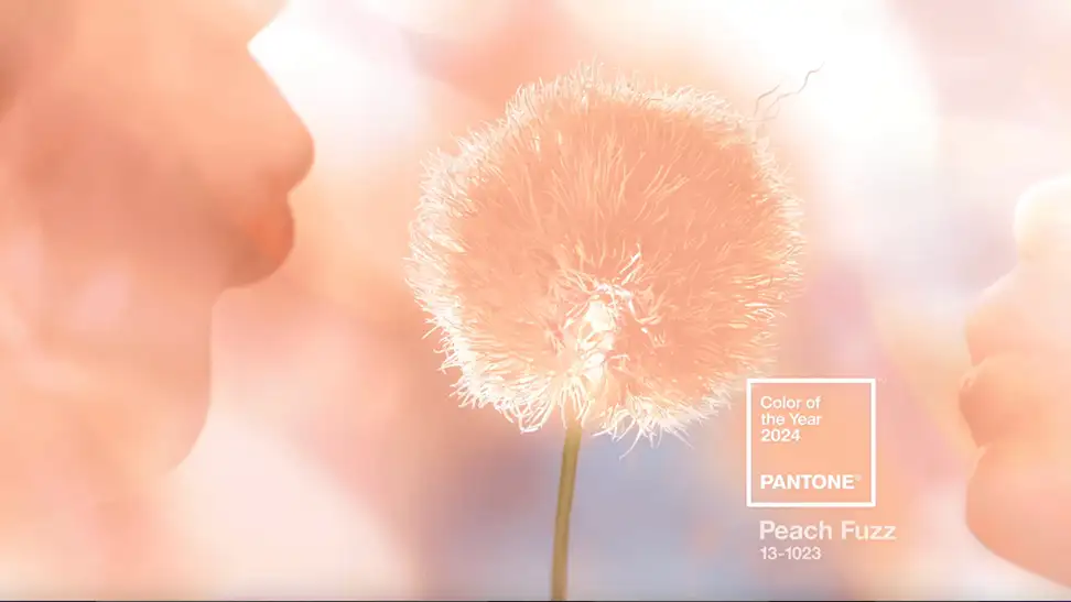Peach dandelions and clouds