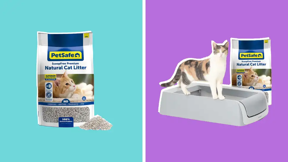 PetSafe ScoopFree Premium Natural Cat Litter