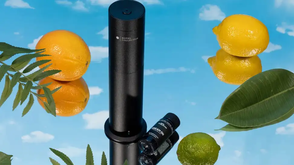 Hotel Collection diffuser with Dream On scent sits on a blue sky background