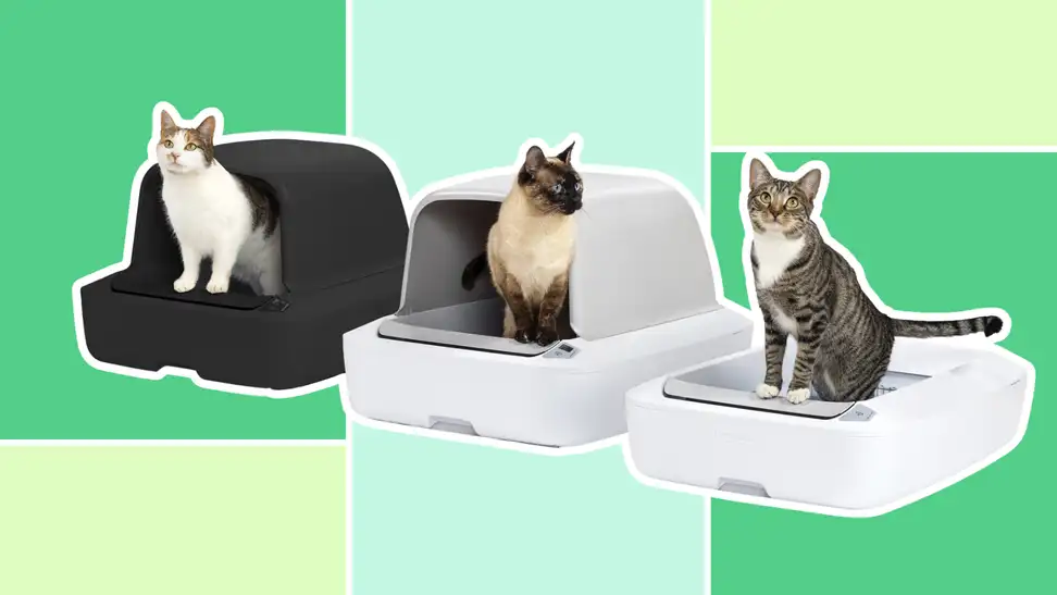 Image showing three cats using different models of a self cleaning litter box in black, gray, and white.