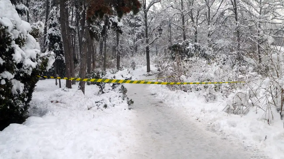 Piece of barrier tape in a snowy forest blocking entry
