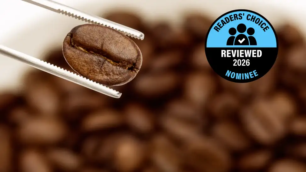 A close look at a coffee bean