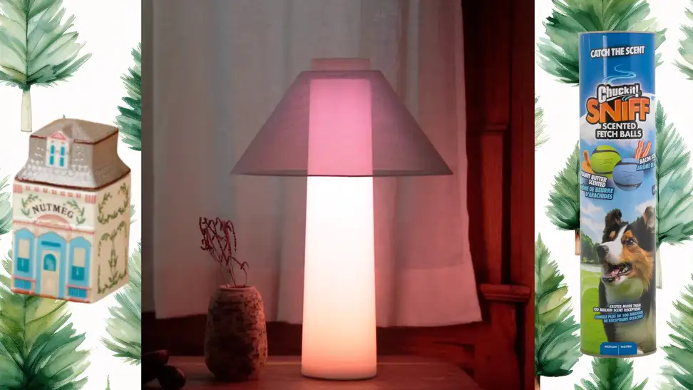 A ceramic house next to a lamp and dog toss balls