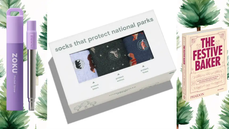 Three of our favorite under $50 gifts: A straw, socks, and a cookbook
