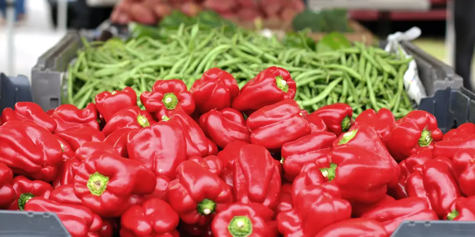 North Charleston Farmers Market