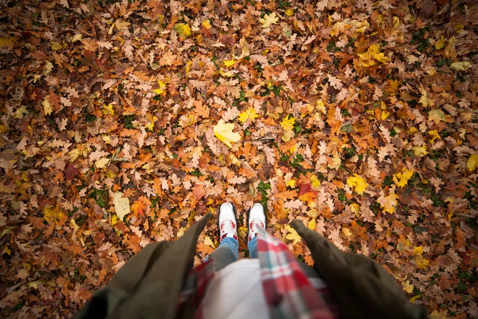 A person standing in leaves