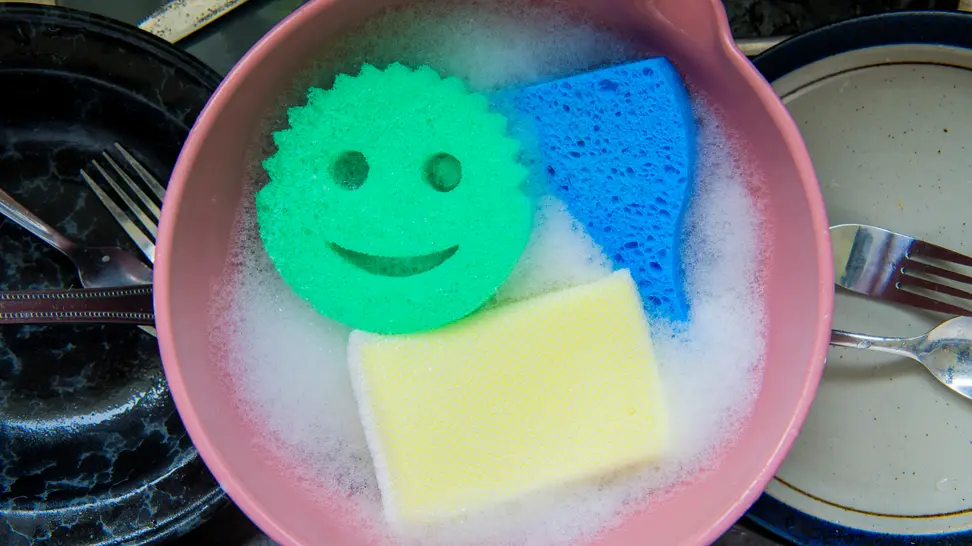 the best sponges