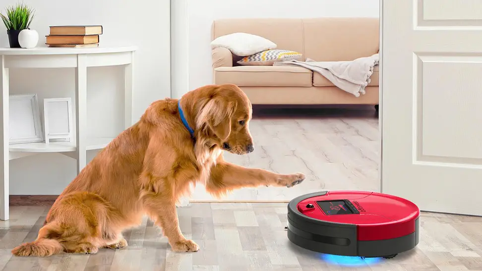What's the best robot vacuum if your dogs shed a lot?