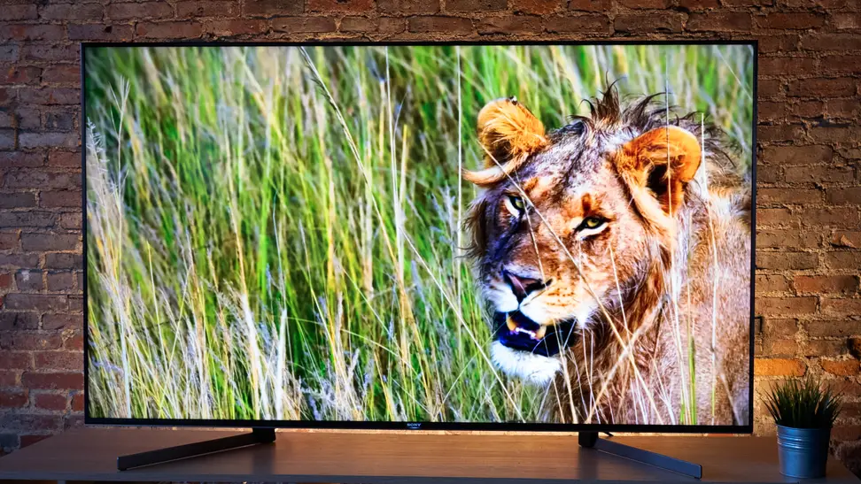 65-inch Sony X950G TV