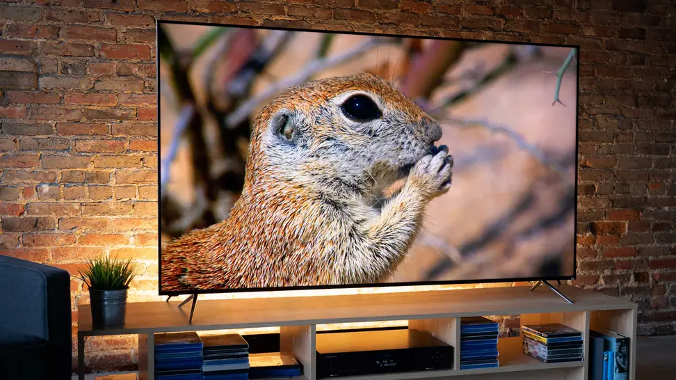 The 65-inch Vizio P-Series Quantum X