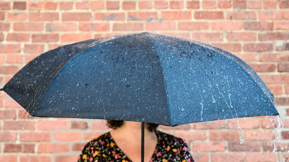 Sharpty Inverted Umbrella