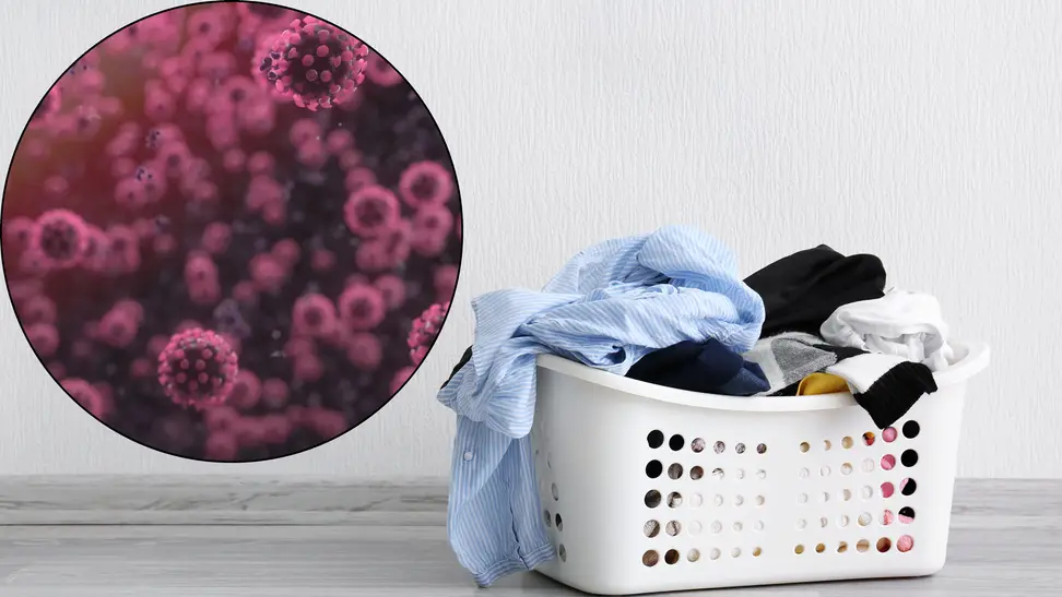 Can the COVID-19 coronavirus live on your clothes?