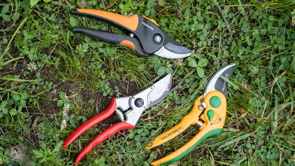 the best pruning shears
