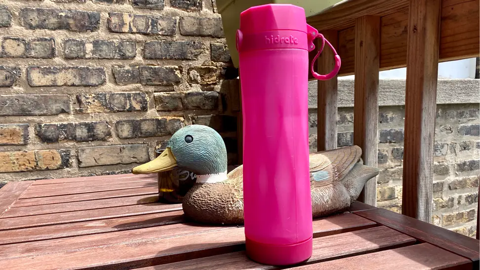 Hot pink water bottle sitting in the sun next to a duck figurine.