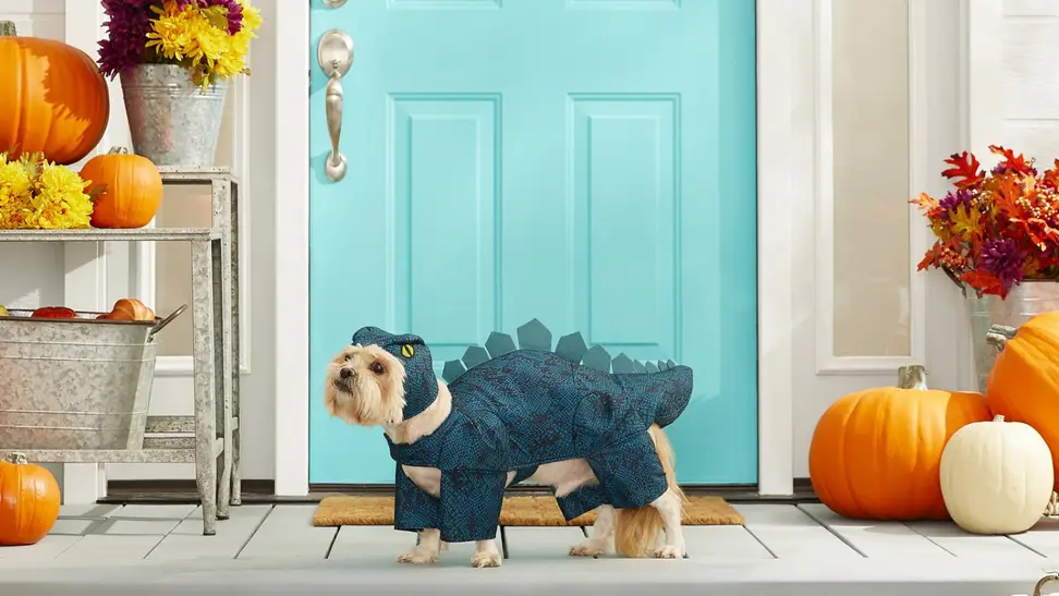 Dog in a dinosaur outfit in front of a door