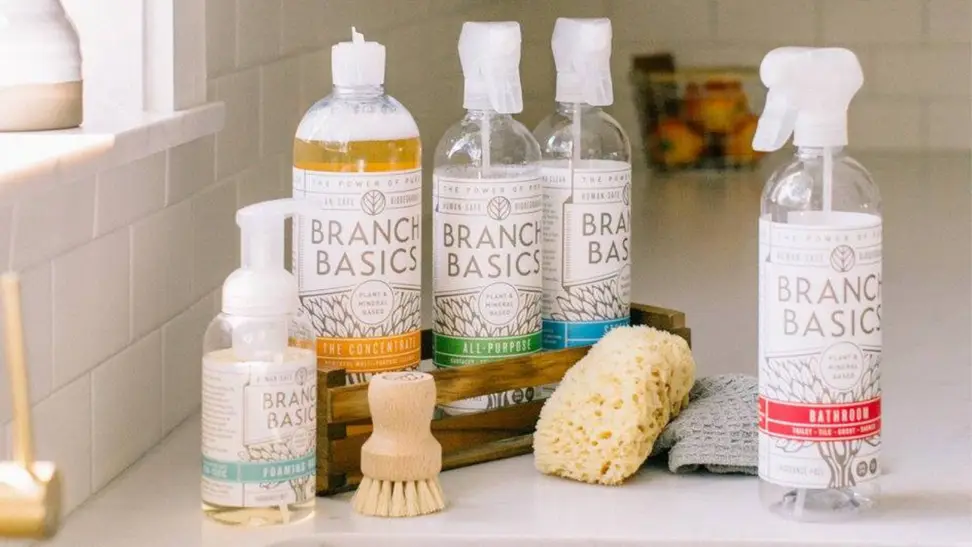 Branch Basics products lined up on counter, accompanied with a sponge and brush