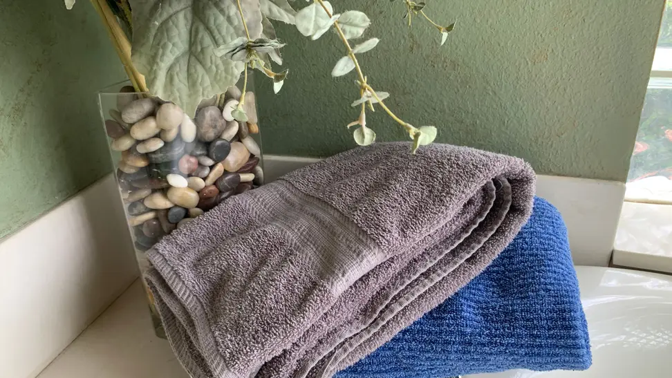 Two The Big One bath towels—one gray and one blue—sitting on a bathtub next to a plant