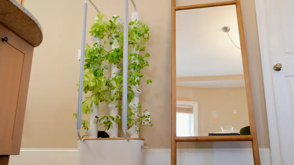 Gardyn, a vertical hybriponic indoor growing system, is in the center of the image with vegetable plants growing from the columns. There's a mirror to the left of the device.
