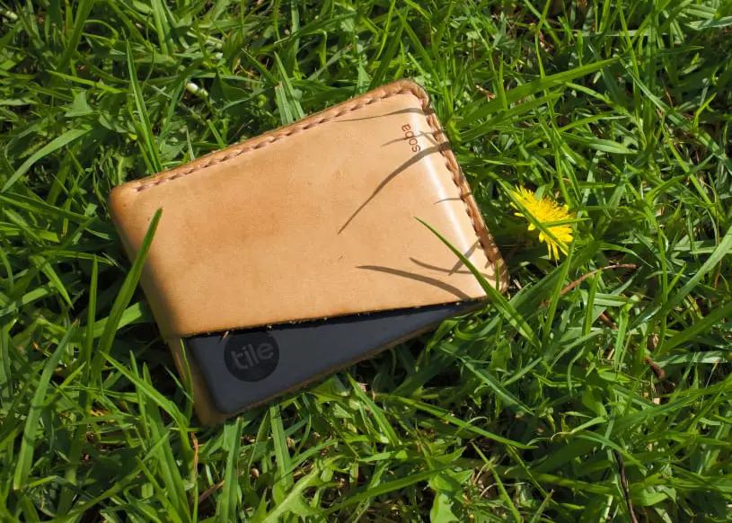 A wallet laying on green grass