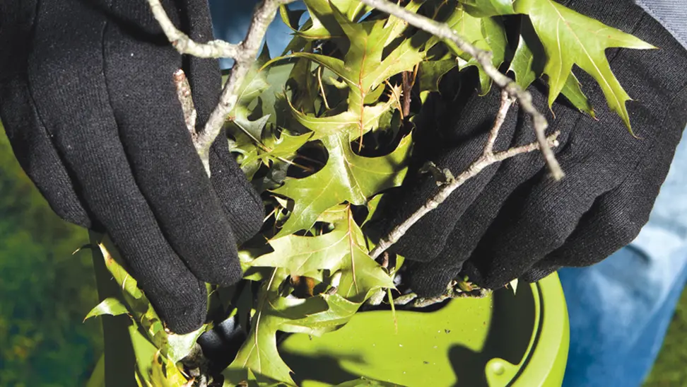 Close-up photo of gloved hands demonstrating a Sun Joe electric wood chipper.