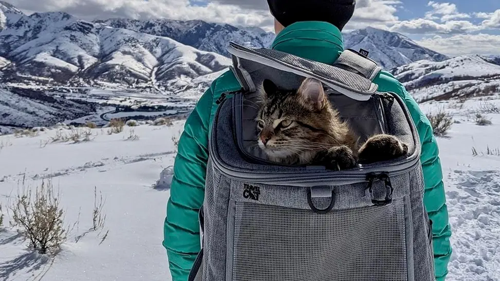 Photo of a hiker in winter gear with their cat in a cat backpack.
