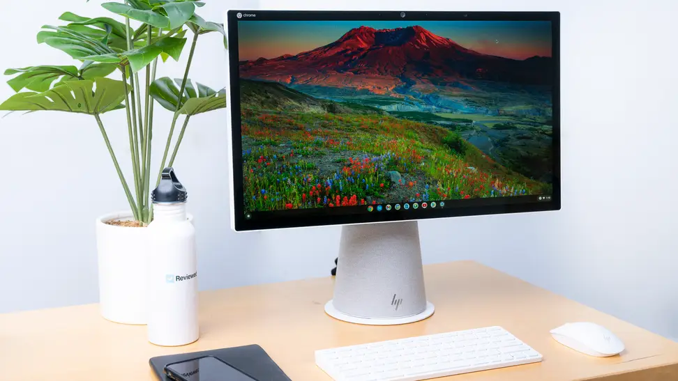 Computer sits on the desk A plant and water bottle are to the left.
