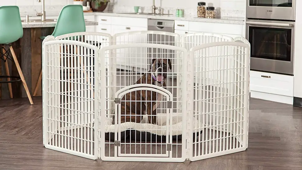 A dog relaxing in his dog pen in the kitchen.