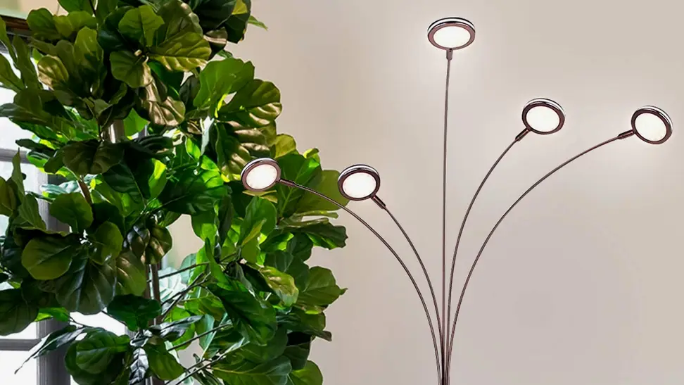 A Brighttech Orion Arc Floor Lamp illuminates an off-white wall and a large green houseplant