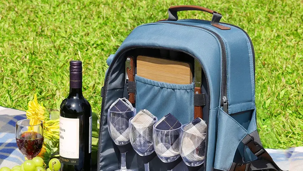 Wine and cheese spread out on a picnic blanket.