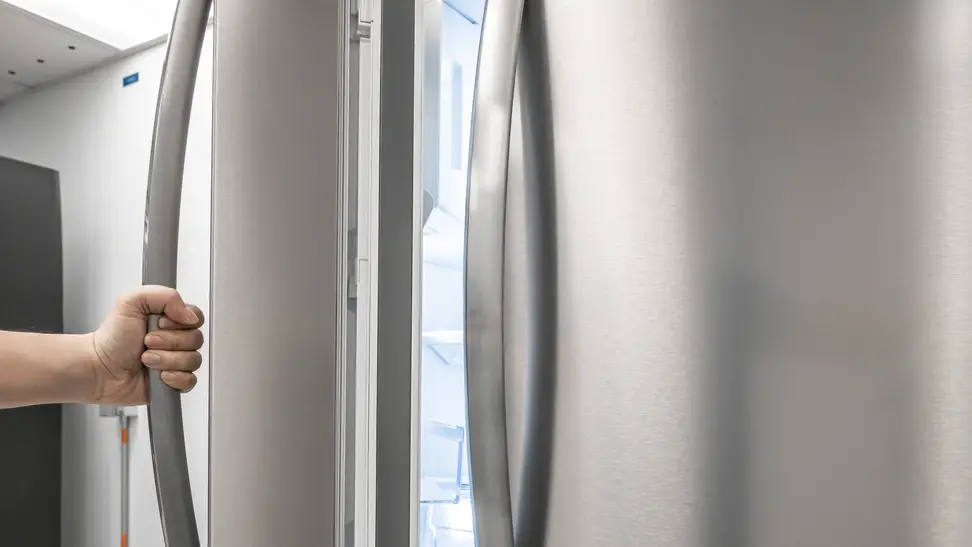A refrigerator door held open to show the gasket.