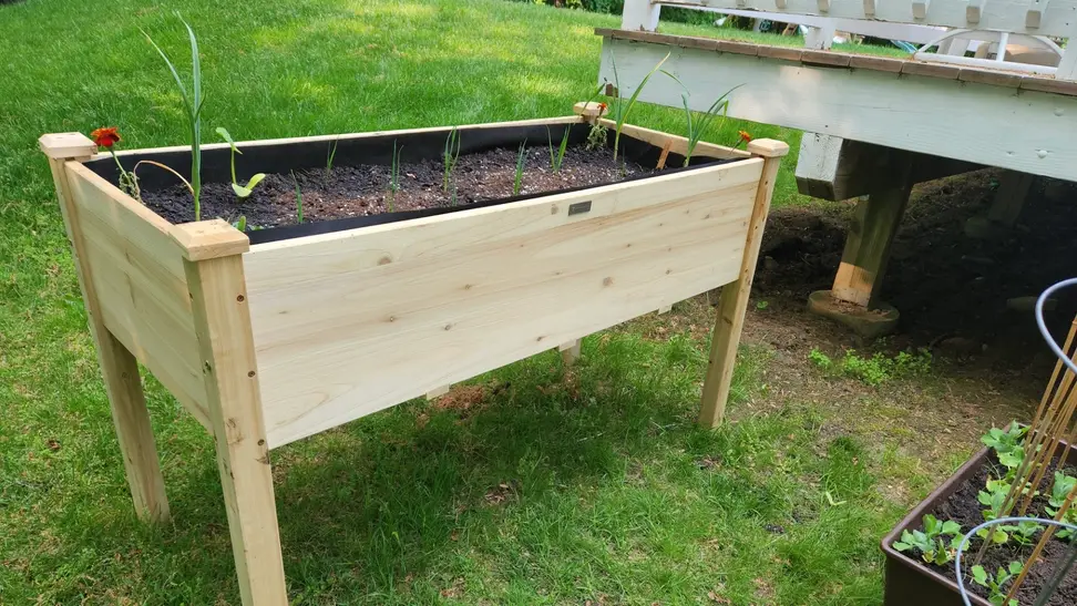 A raised garden bed being used in a backyard.
