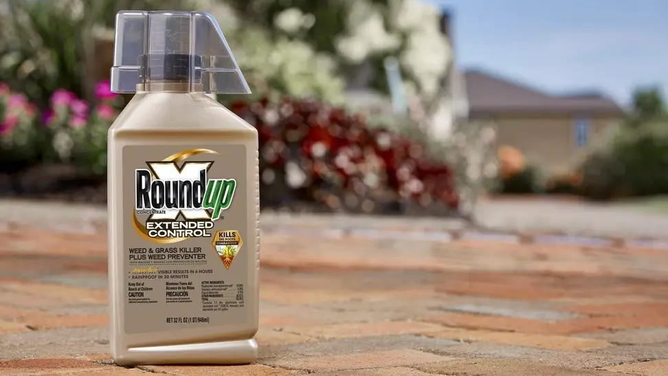 A weed and grass killer being used on weeds near a homeowner's patio.