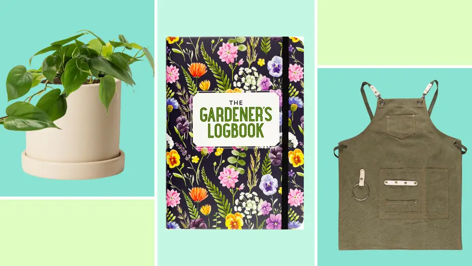 A selection of the best gardening gift ideas including a potted plant from The Sill, a gardener's logbook and an olive green apron on a blue and green background.