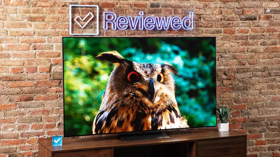 An howl on the screen of a LG G3 OLED TV with a brick background.