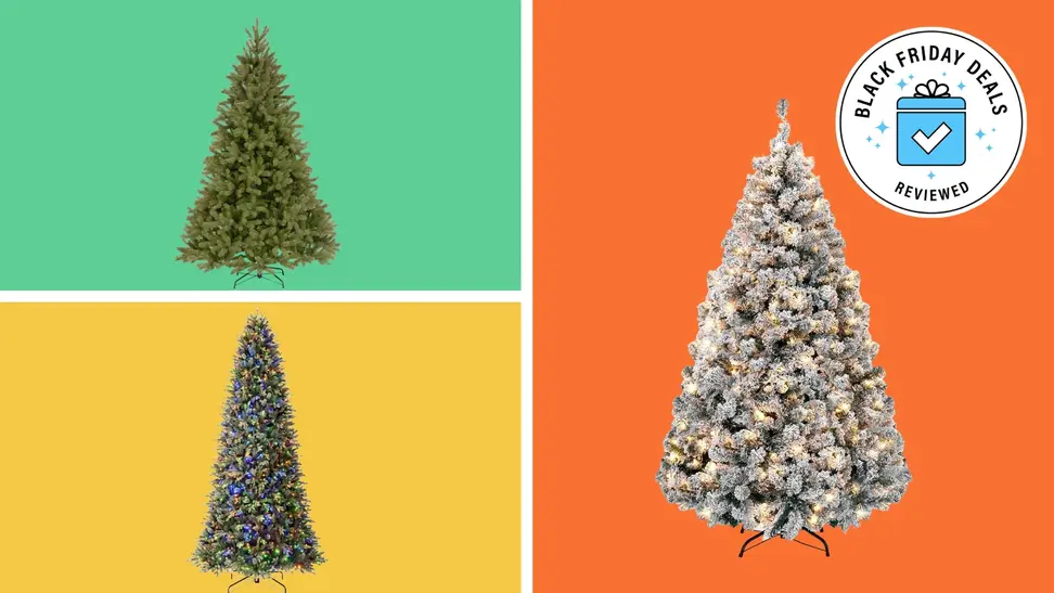 Three artificial Christmas trees stand on a colorblock background