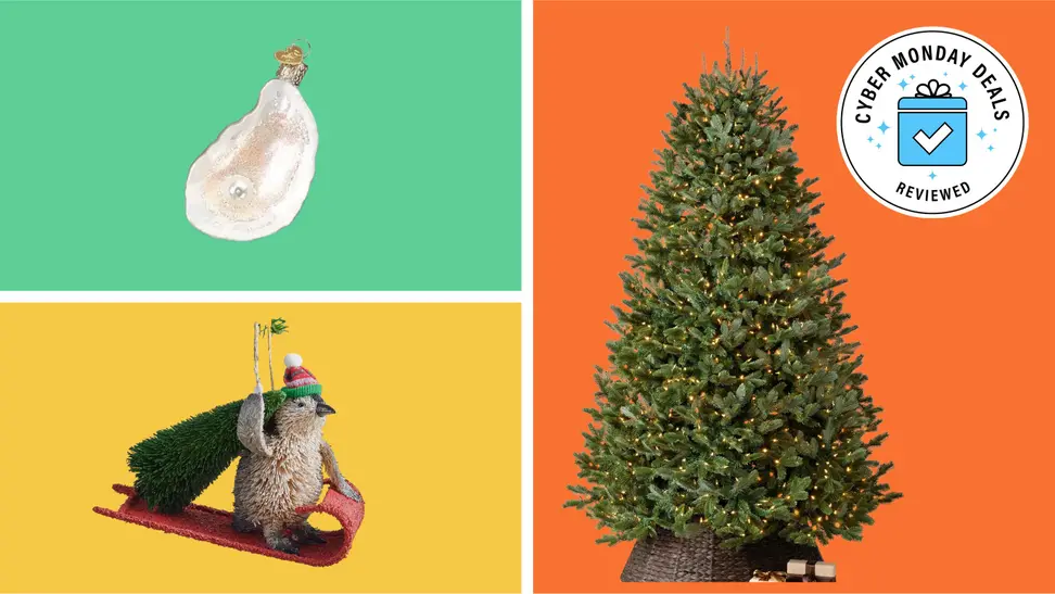 Score big on holiday savings during Cyber Monday 2023.