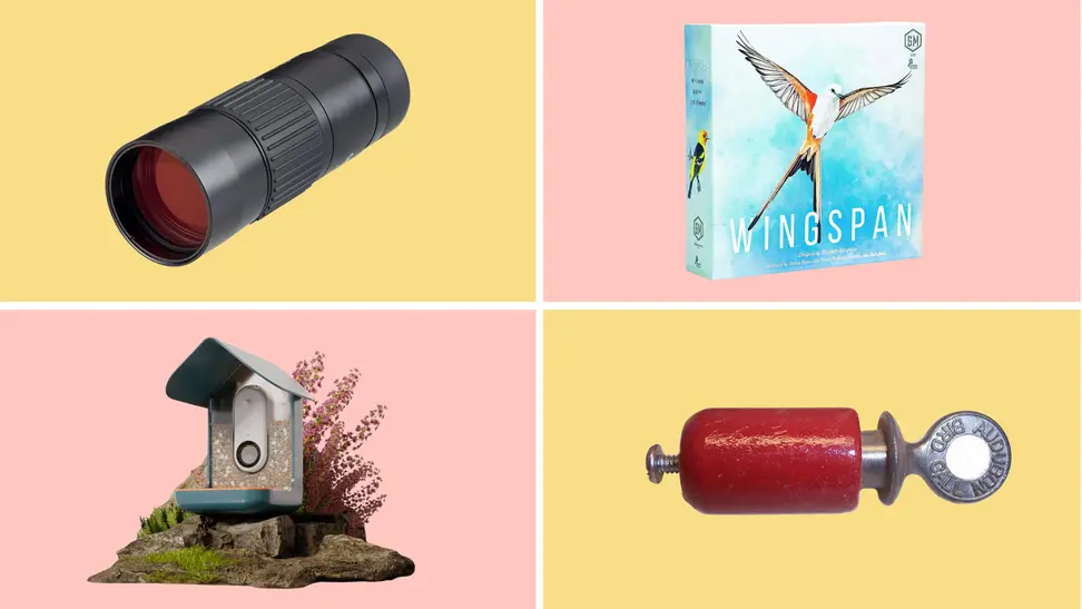 Four bird-related products sit on a colorblock peach and yellow background