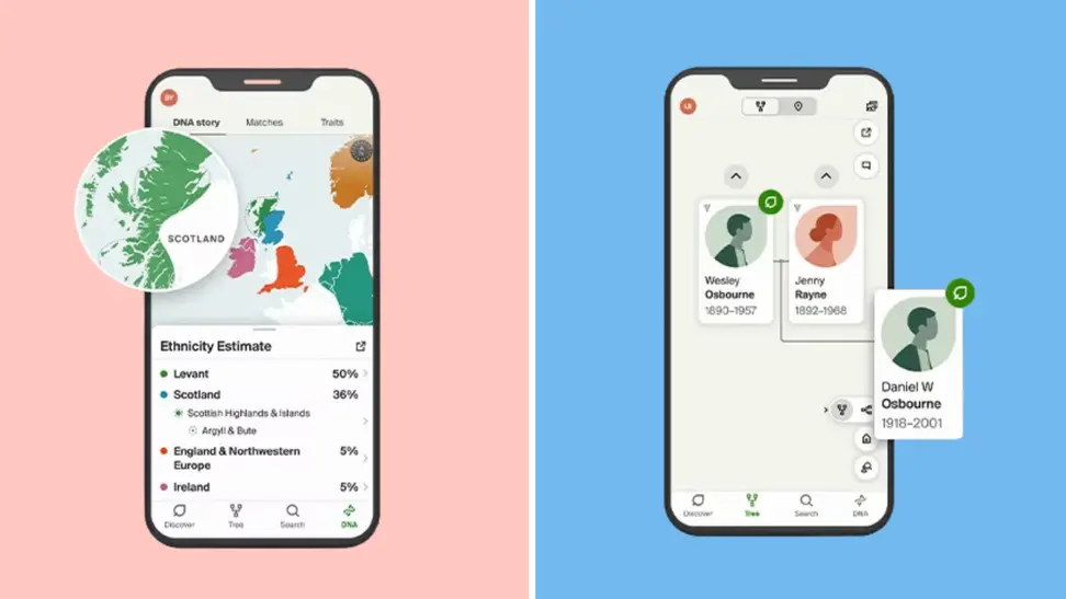 Two smartphones with windows from the Ancestry mobile app in front of colored backgrounds.