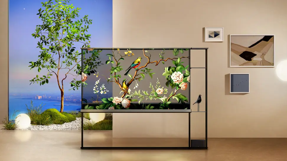 The transparent, 77-inch OLED TV staged in a post-modern room with a wall-sized portrait of a tree behind it, so as to emphasize the TV's transparent display