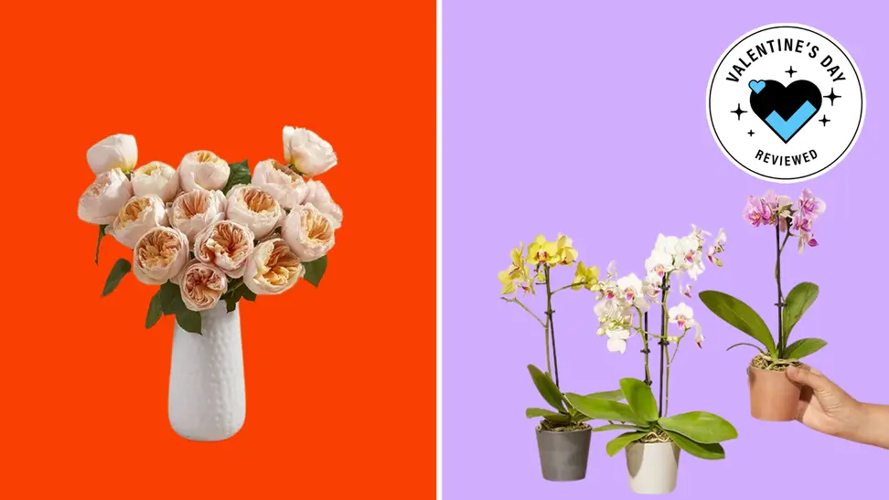 Bouquet of roses and pots of orchids.