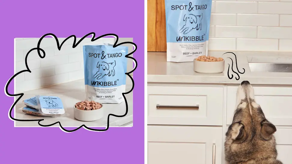 Spot & Tango dog food deal