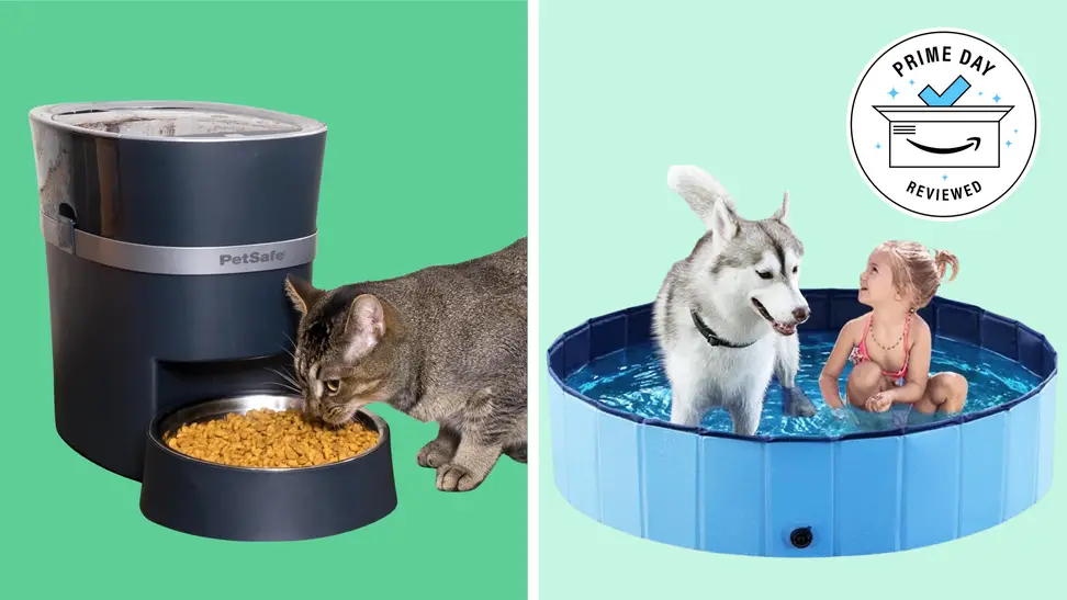 Pet products on a green background.